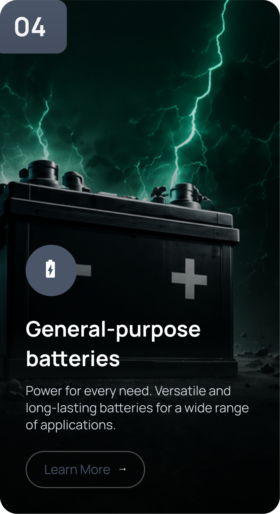 General-purpose batteries